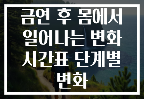 금연 후 몸에서 일어나는 변화 시간표 단계별 변화