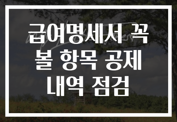 급여명세서 꼭 볼 항목 공제 내역 점검 급여명세서 꼭 볼 항목 공제 내역 점검