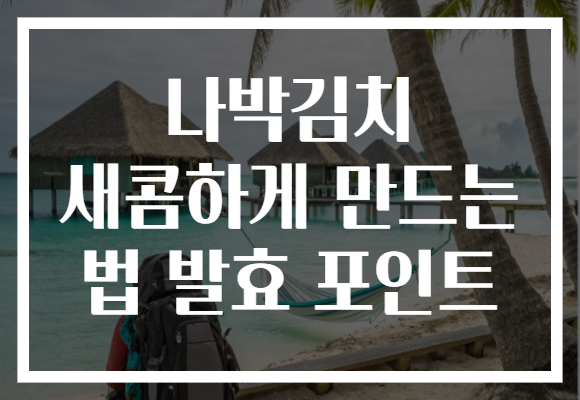 나박김치 새콤하게 만드는 법 발효 포인트