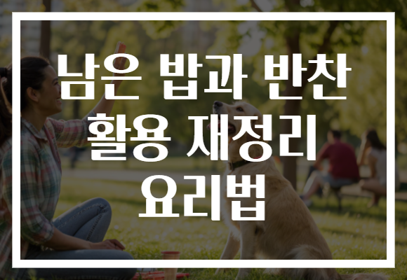 남은 밥과 반찬 활용 재정리 요리법 남은 밥과 반찬 활용 재정리 요리법