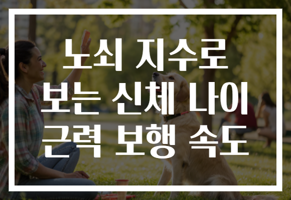 노쇠 지수로 보는 신체 나이 근력 보행 속도