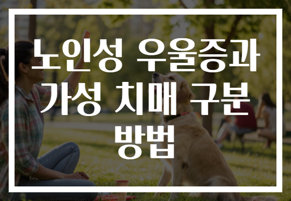 노인성 우울증과 가성 치매 구분 방법 노인성 우울증과 가성 치매 구분 방법