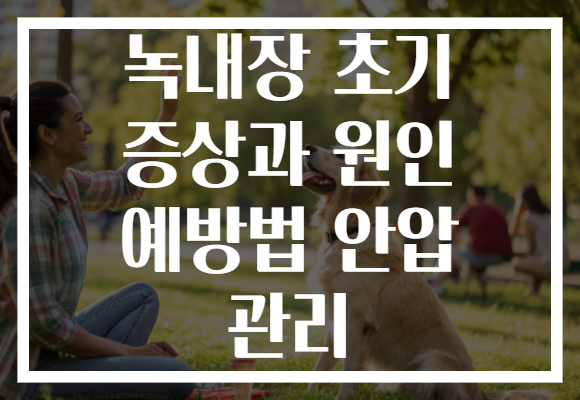 녹내장 초기 증상과 원인 예방법 안압 관리 녹내장 초기 증상과 원인 예방법 안압 관리