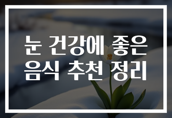 눈 건강에 좋은 음식 추천 정리 눈 건강에 좋은 음식 추천 정리