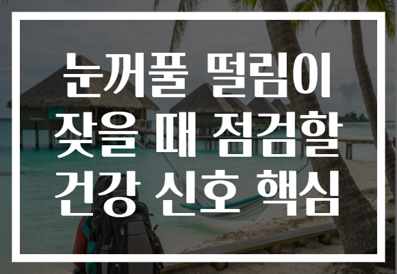 눈꺼풀 떨림이 잦을 때 점검할 건강 신호 핵심
