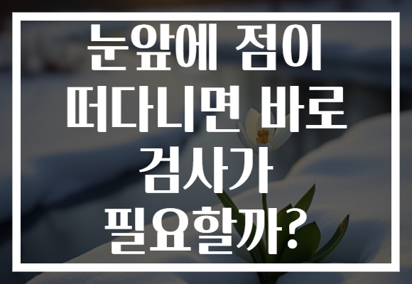 눈앞에 점이 떠다니면 바로 검사가 필요할까?