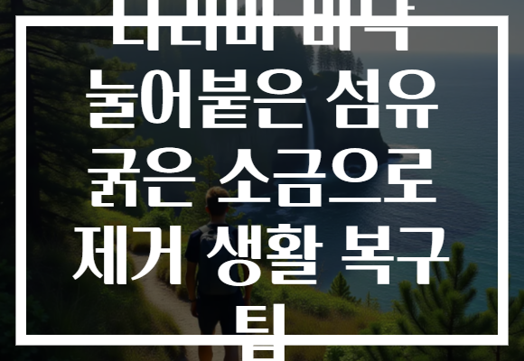 다리미 바닥 눌어붙은 섬유 굵은 소금으로 제거 생활 복구 팁