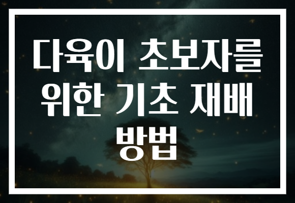 다육이 초보자를 위한 기초 재배 방법