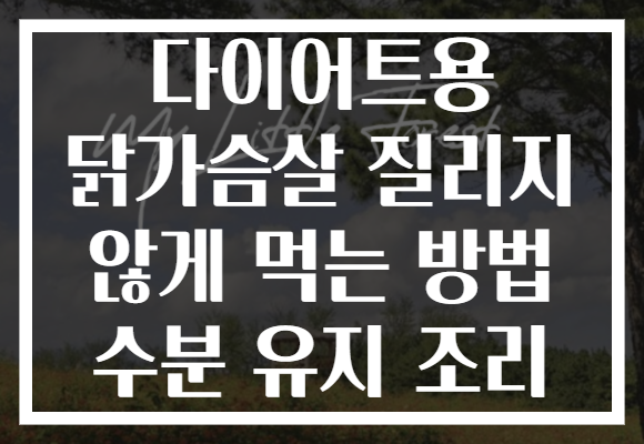 다이어트용 닭가슴살 질리지 않게 먹는 방법 수분 유지 조리