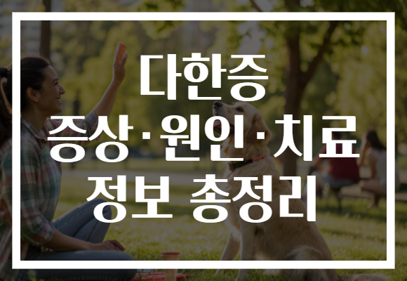 다한증 증상·원인·치료 정보 총정리