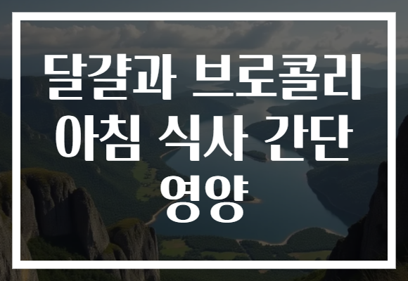 달걀과 브로콜리 아침 식사 간단 영양