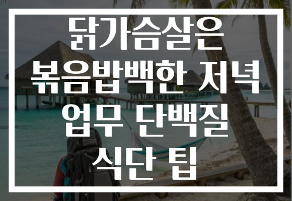 닭가슴살은 볶음밥백한 저녁 업무 단백질 식단 팁 닭가슴살은 볶음밥백한 저녁 업무 단백질 식단 팁