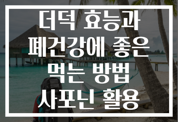 더덕 효능과 폐건강에 좋은 먹는 방법 사포닌 활용 더덕 효능과 폐건강에 좋은 먹는 방법 사포닌 활용