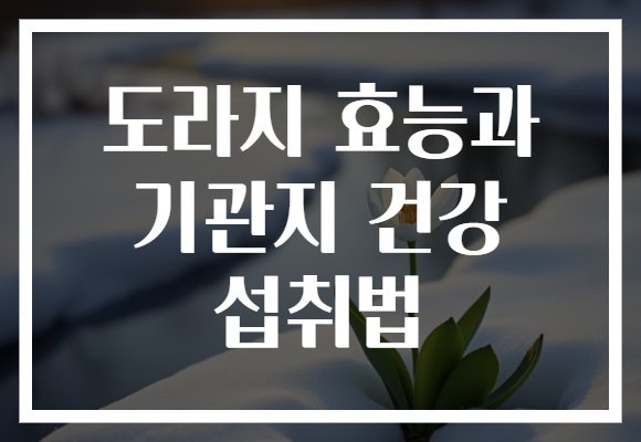 도라지 효능과 기관지 건강 섭취법