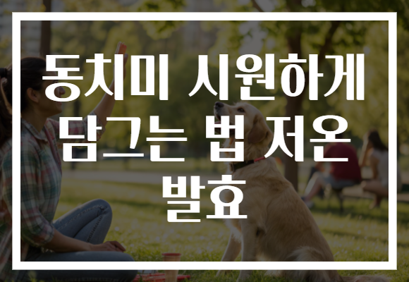 동치미 시원하게 담그는 법 저온 발효 동치미 시원하게 담그는 법 저온 발효