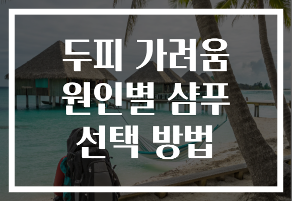 두피 가려움 원인별 샴푸 선택 방법