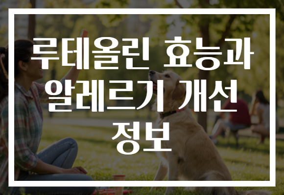 루테올린 효능과 알레르기 개선 정보