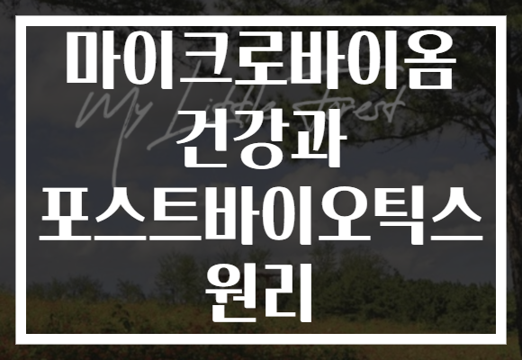 마이크로바이옴 건강과 포스트바이오틱스 원리 마이크로바이옴 건강과 포스트바이오틱스 원리