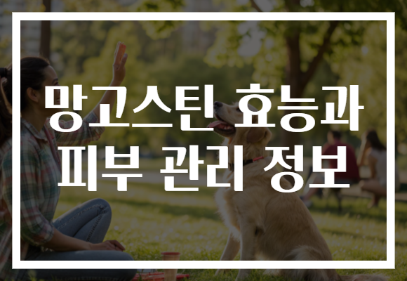 망고스틴 효능과 피부 관리 정보