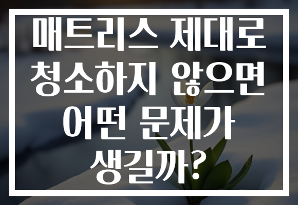 매트리스 제대로 청소하지 않으면 어떤 문제가 생길까? 매트리스 제대로 청소하지 않으면 어떤 문제가 생길까?