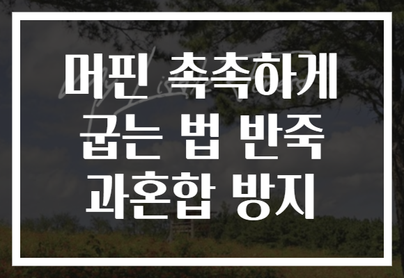 머핀 촉촉하게 굽는 법 반죽 과혼합 방지 머핀 촉촉하게 굽는 법 반죽 과혼합 방지