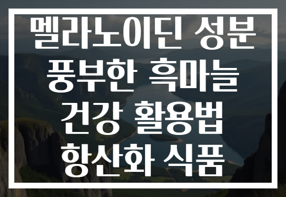 멜라노이딘 성분 풍부한 흑마늘 건강 활용법 항산화 식품