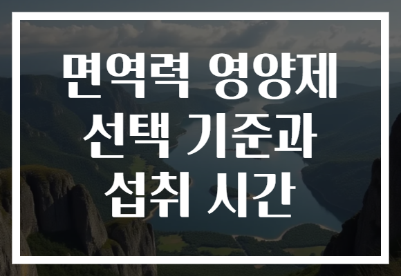 면역력 영양제 선택 기준과 섭취 시간