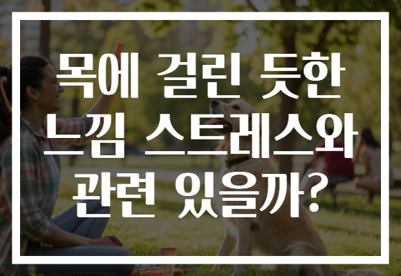 목에 걸린 듯한 느낌 스트레스와 관련 있을까?
