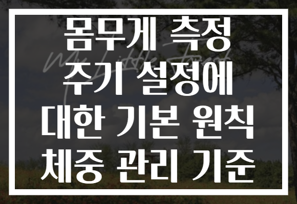 몸무게 측정 주기 설정에 대한 기본 원칙 체중 관리 기준 몸무게 측정 주기 설정에 대한 기본 원칙 체중 관리 기준