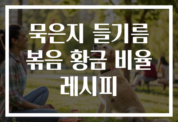 묵은지 들기름 볶음 황금 비율 레시피