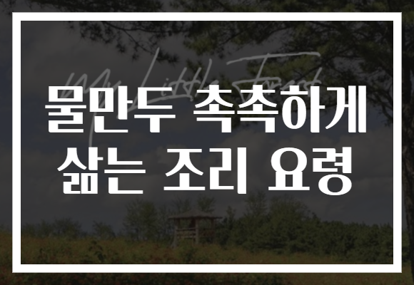 물만두 촉촉하게 삶는 조리 요령