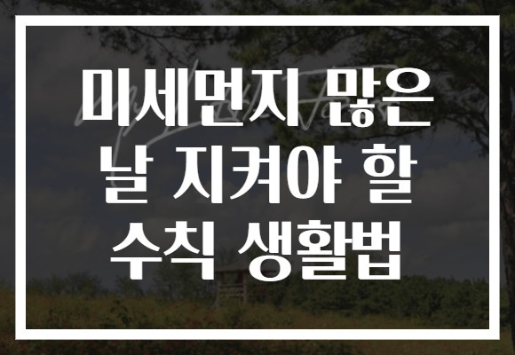 미세먼지 많은 날 지켜야 할 수칙 생활법