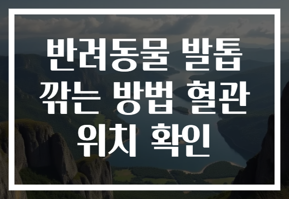 반려동물 발톱 깎는 방법 혈관 위치 확인 반려동물 발톱 깎는 방법 혈관 위치 확인