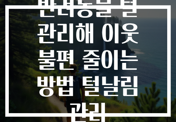 반려동물 털 관리해 이웃 불편 줄이는 방법 털날림 관리