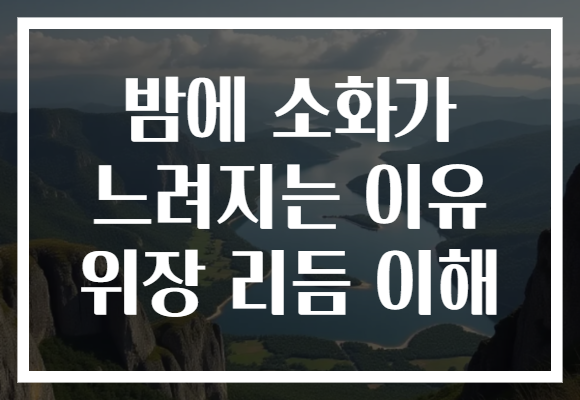 밤에 소화가 느려지는 이유 위장 리듬 이해