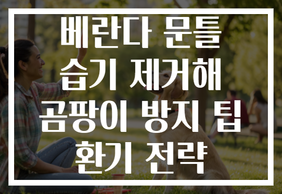 베란다 문틀 습기 제거해 곰팡이 방지 팁 환기 전략