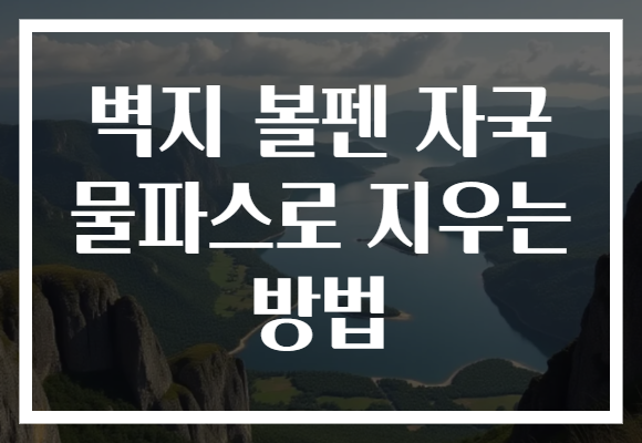 벽지 볼펜 자국 물파스로 지우는 방법 벽지 볼펜 자국 물파스로 지우는 방법
