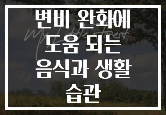 변비 완화에 도움 되는 음식과 생활 습관 변비 완화에 도움 되는 음식과 생활 습관