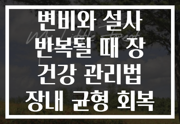 변비와 설사 반복될 때 장 건강 관리법 장내 균형 회복