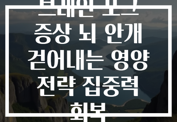 브레인 포그 증상 뇌 안개 걷어내는 영양 전략 집중력 회복