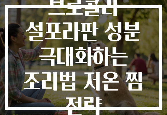 브로콜리 설포라판 성분 극대화하는 조리법 저온 찜 전략 브로콜리 설포라판 성분 극대화하는 조리법 저온 찜 전략