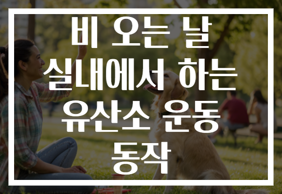 비 오는 날 실내에서 하는 유산소 운동 동작 비 오는 날 실내에서 하는 유산소 운동 동작