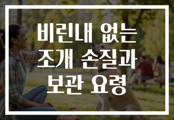 비린내 없는 조개 손질과 보관 요령