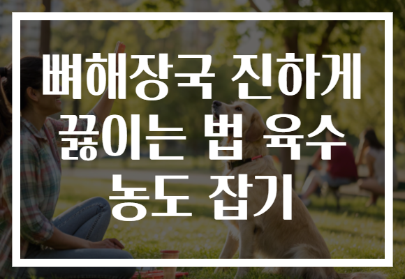 뼈해장국 진하게 끓이는 법 육수 농도 잡기