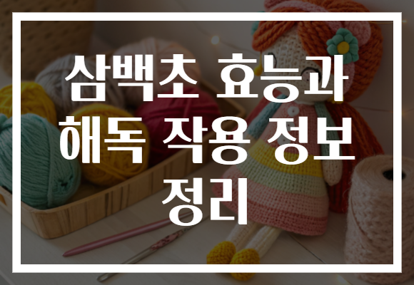 삼백초 효능과 해독 작용 정보 정리