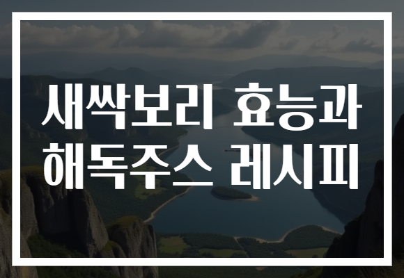 새싹보리 효능과 해독주스 레시피