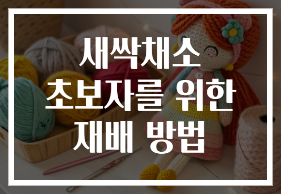 새싹채소 초보자를 위한 재배 방법