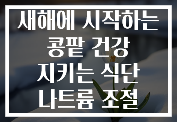 새해에 시작하는 콩팥 건강 지키는 식단 나트륨 조절