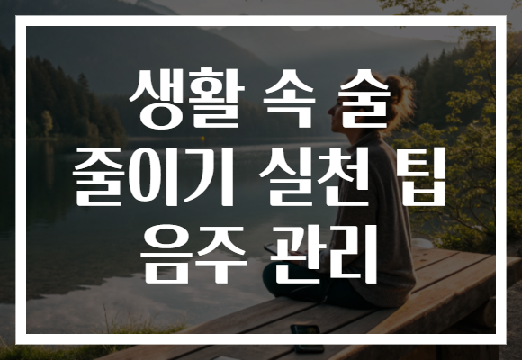 생활 속 술 줄이기 실천 팁 음주 관리