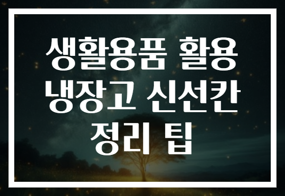 생활용품 활용 냉장고 신선칸 정리 팁